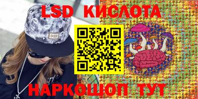 Альфа ПВП Малгобек