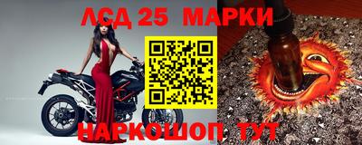 гидропоника Можайск