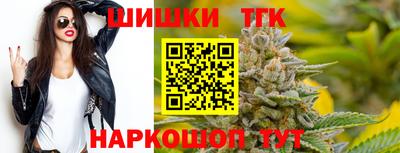 Альфа ПВП Малгобек
