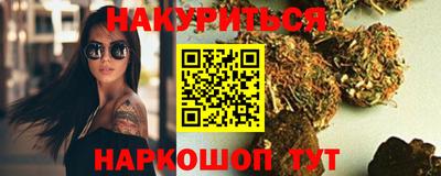 Альфа ПВП Малгобек