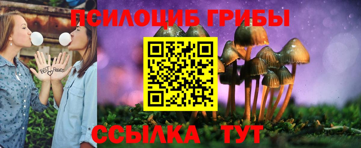 Псилоцибиновые грибы Psilocybe  Вход с VPN  Галлюциногенные грибы Psilocybe  наркота  Тайшет 