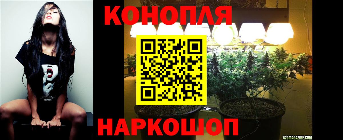 Бошки Шишки сатива  Каннабис индика  Вход с VPN  Тайшет 